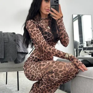 Hugcitar 2024 Leopard Print Mesh Long Sleeve Sexy Slim See Through Maxi Dress Fall Women Fashion Outfits Beach Vacation Club