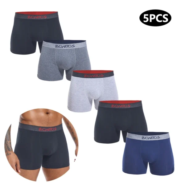 5pcs 2024 Men's Underpants Cotton Men Panties Gift Underwear Male Brand Boxer Shorts For Homme Luxury Set Sexy Trunks Slip Kit