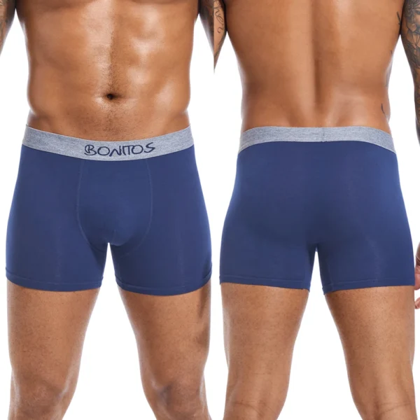 5pcs 2024 Men's Underpants Cotton Men Panties Gift Underwear Male Brand Boxer Shorts For Homme Luxury Set Sexy Trunks Slip Kit - Image 3