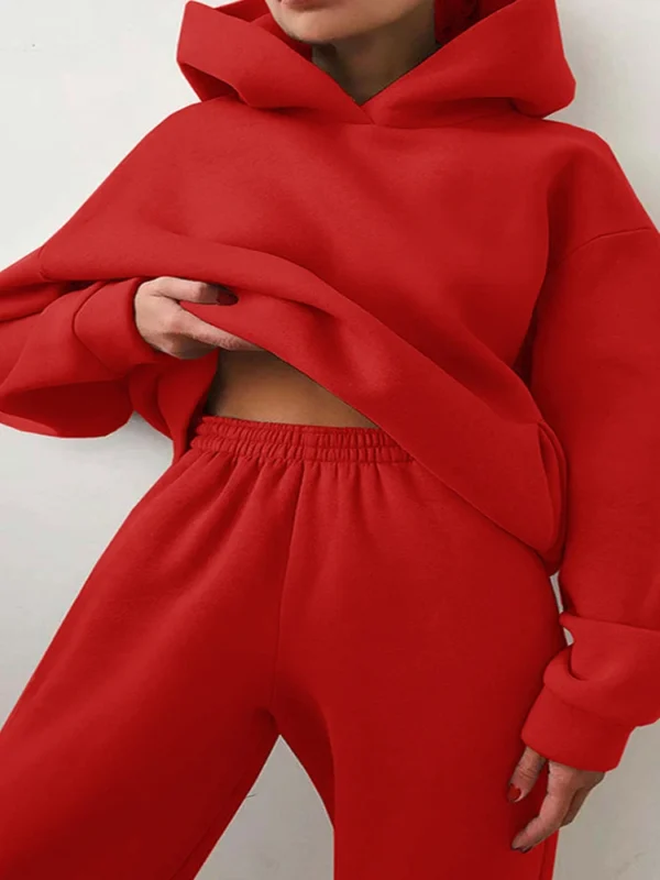 Women Autumn Winter Fleeced Tracksuits Casual Sweatpants and Hoodie Set Two Pieces Set Hooded Sweatshirt Sport Jogger Outfits - Image 4