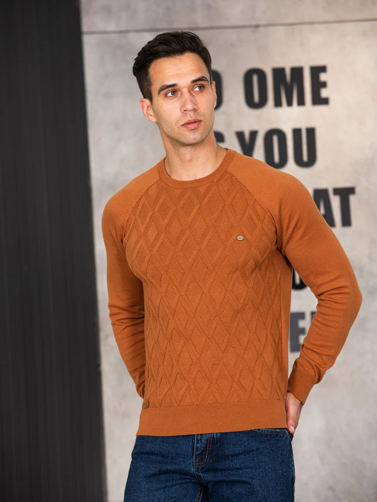 AIOPESON Argyle Basic Men Sweaters Solid Color O-neck Long sleeve Knitted Male Pullover Winter Fashion New Warm Sweaters for Men - Image 5