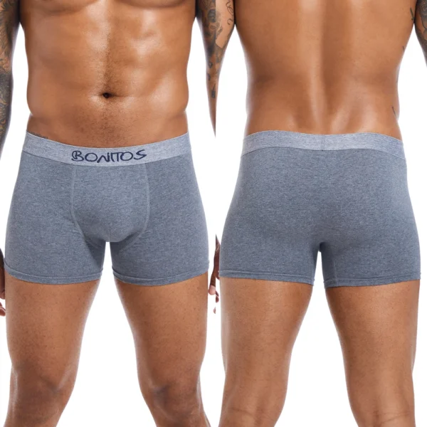 5pcs 2024 Men's Underpants Cotton Men Panties Gift Underwear Male Brand Boxer Shorts For Homme Luxury Set Sexy Trunks Slip Kit - Image 5
