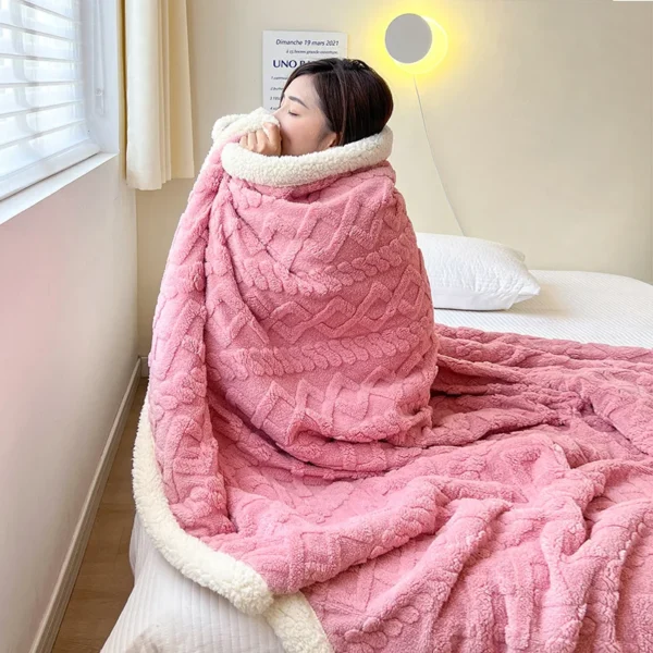 Lamb Wool Thick Winter Blanket Double Side Microfiber Flannel Throw Blanket for Bed Comfortable Super Soft Warm Comforter Double - Image 2