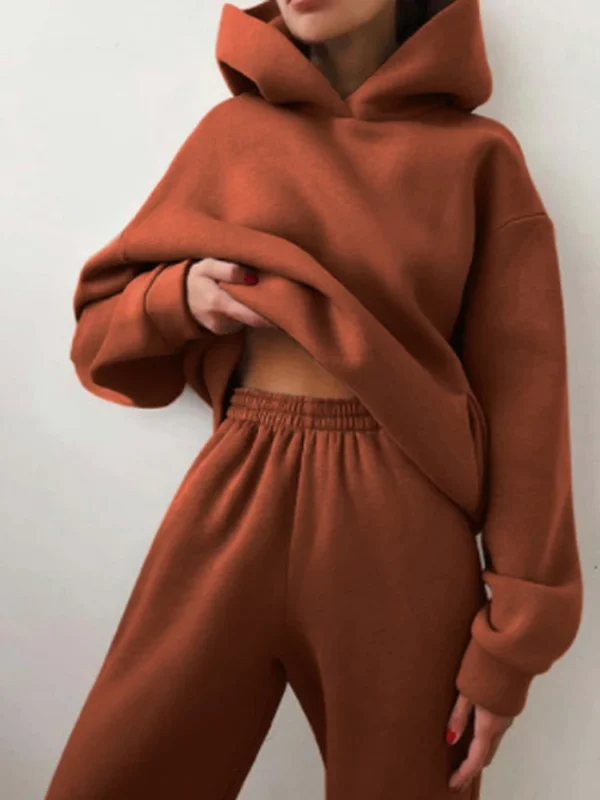Women Autumn Winter Fleeced Tracksuits Casual Sweatpants and Hoodie Set Two Pieces Set Hooded Sweatshirt Sport Jogger Outfits - Image 3