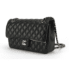 chanael bag