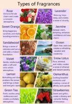 12pcs X 3ML Essential Oils for Aroma Diffuser Air Humidifier Natural Plant Aromatherapy Air Freshener Home Fragrance Oil Perfume - Image 3