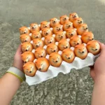 Creative Shiba Inu Realistic Egg Shape PVC Desk Decor Dog & Egg Union Decorations For Home Offices Fun Christmas Gifts - Image 4