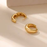Classic Hoop Earrings for Women Girls Gold Color Chunky Stainless Steel Earrings 2026 Trend New in Minimalist Ear Jewelry aretes - Image 3