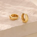 Classic Hoop Earrings for Women Girls Gold Color Chunky Stainless Steel Earrings 2026 Trend New in Minimalist Ear Jewelry aretes - Image 4