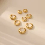 Classic Hoop Earrings for Women Girls Gold Color Chunky Stainless Steel Earrings 2026 Trend New in Minimalist Ear Jewelry aretes - Image 5