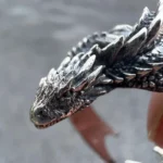 Dragon Rings Gothic Punk Style Pterosaur Wings Opening Adjustable Rings for Men Women Vintage Jewelry Accessories Gifts - Image 5